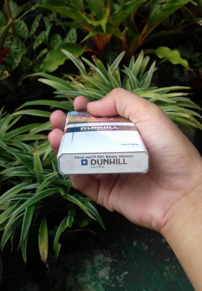 apri_halim30's tweet image. Eh lo udah pada tau apa belum rokok yang punya Reduced Smell Technology? ini dia nih Dunhill Mild Ultra. Asepnya nggak nempel di baju lo, jadi baju lo bebas bau rokok. #UltraLessSmell #LessSMELLisMORE