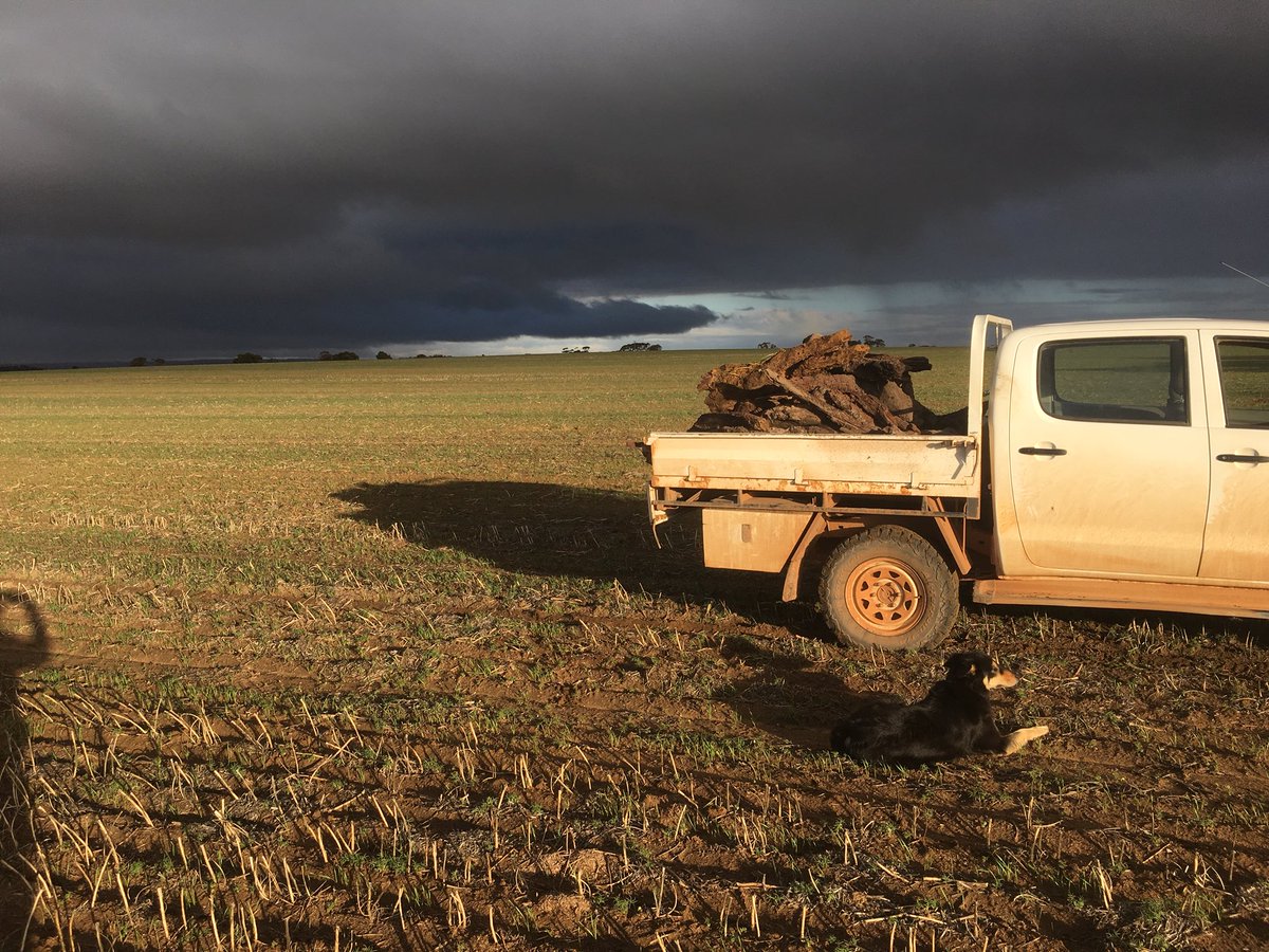 Crazy Jespersen tweet media