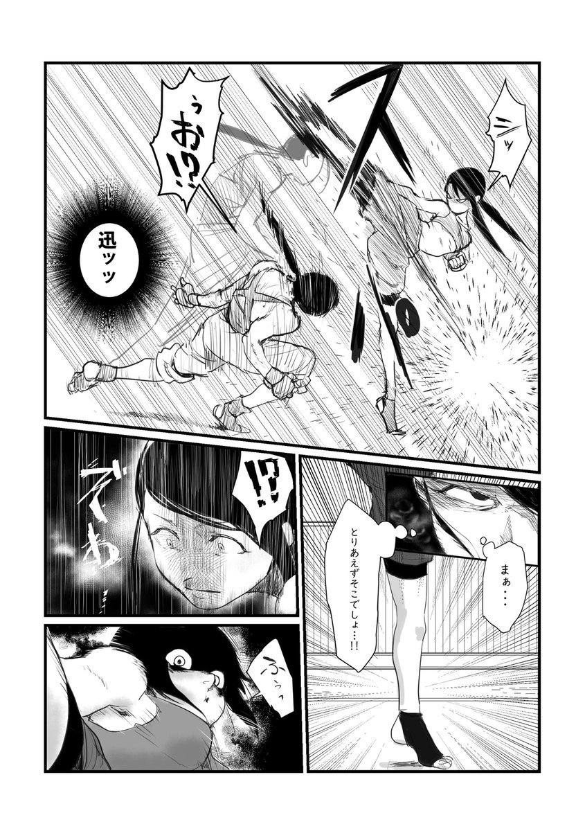 戦うアイドルシリーズ(嘘 