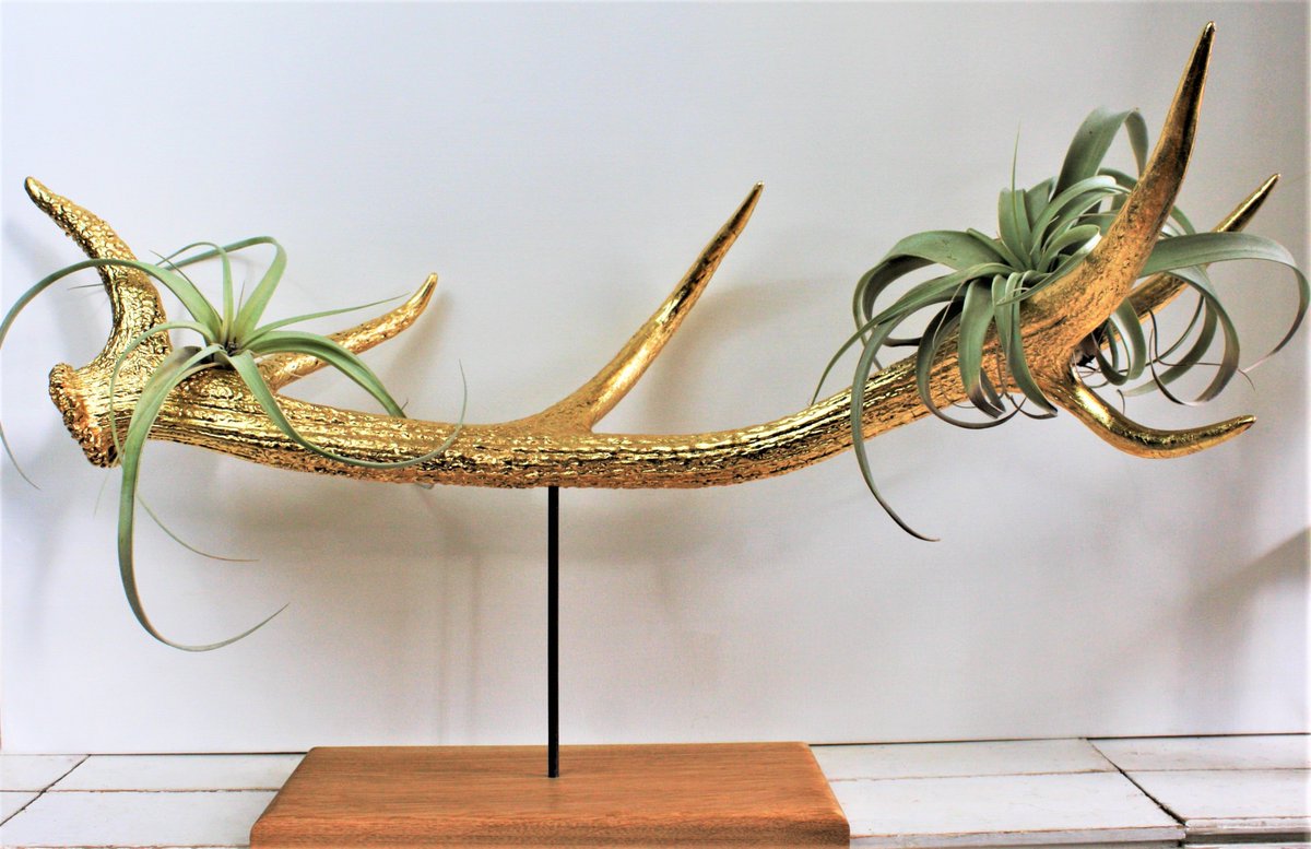 "HOW WOULD I USE IT?"

That's a (very good) question I'm often asked about my pieces. Today I'll be tweeting a few ideas!

Part 1: PIMP YOUR HOME: An interior design talking-point all on its own, for that sideboard/mantelpiece/bookshelf. You can even keep air plants on it! 🌿