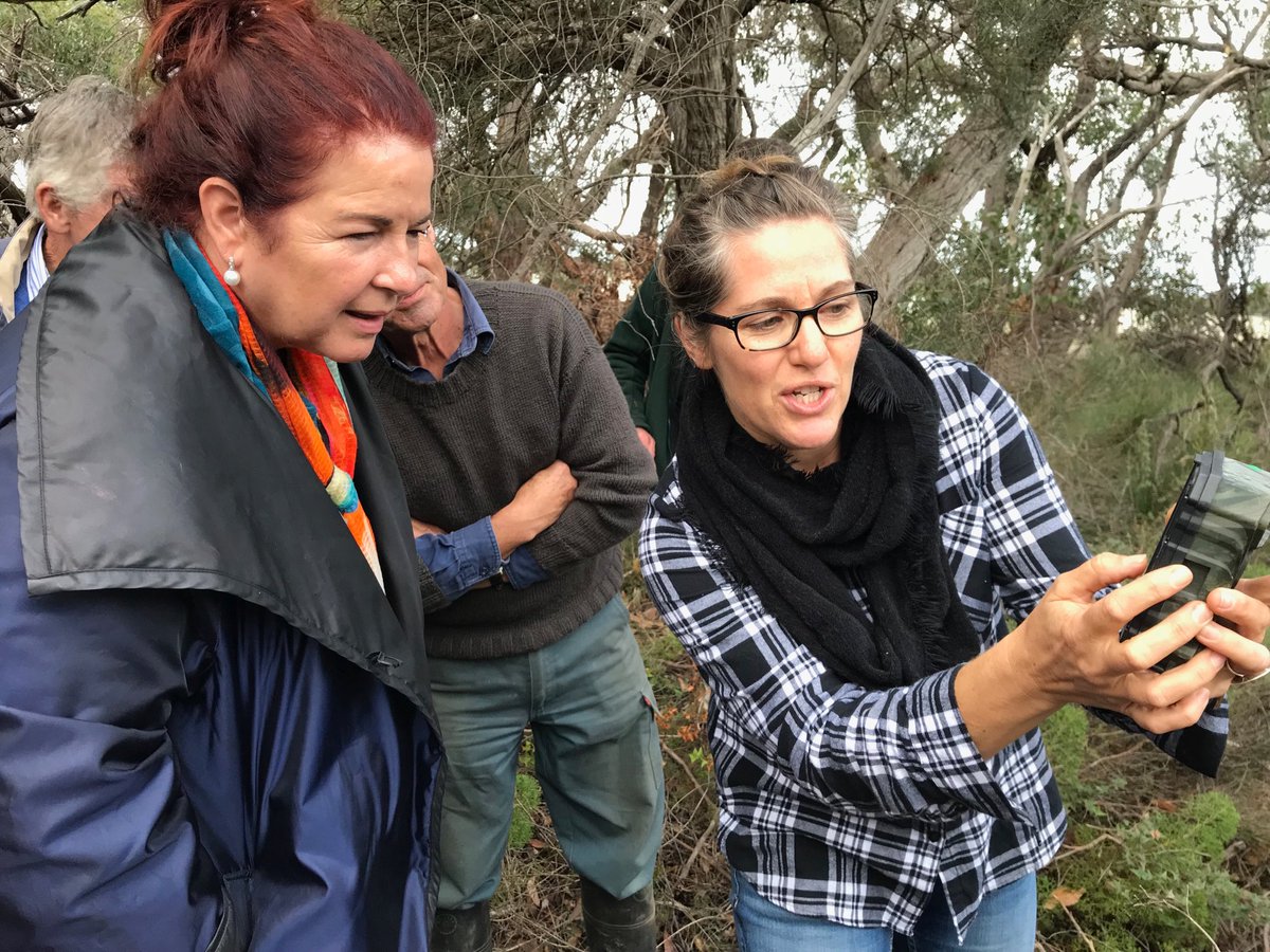 @TSCommissioner tweet media