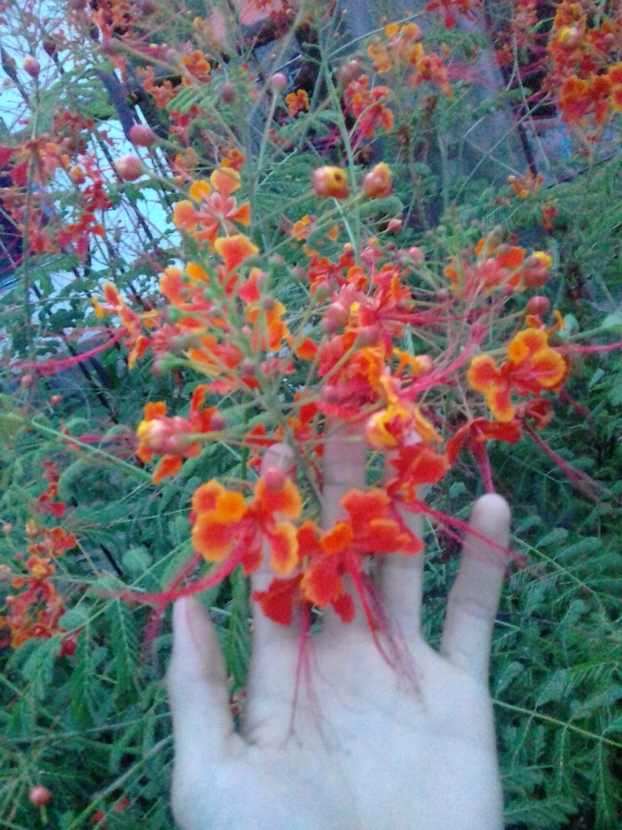 Macles6's tweet image. Nice😍😍