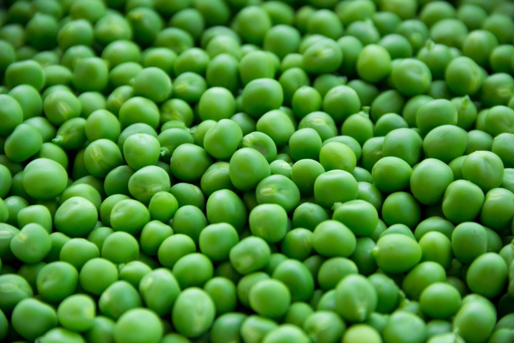 BionatureAgri's tweet photo. We're trying to reduce foot rot in pea crops using our new smart liquid fertiliser, ToPPit. Find out more on what it can do here: https://t.co/dDwuudS17C … #fertiliser #ToPPit #peas https://t.co/n3PclptMAO