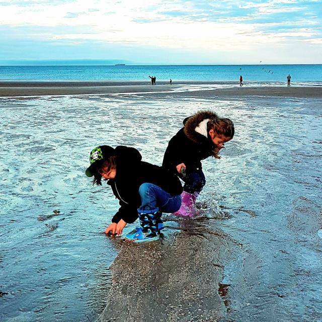 Anne Ogden (@anneogden16) on Twitter photo 