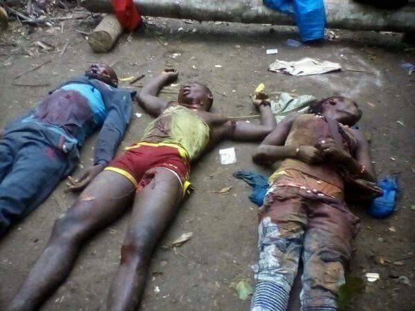 RomaE94's tweet photo. @irinnews @EmmanuelFreuden #GenocideInSouthernCameroons going on in #Ambazonia @UN @realDonaldTrump @theresa_may @PutinRF_Eng @KimJongUnh #StopGenocideInSouthernCameroons #FreeAllarrested #freeourleaders #FreeAmbazonia https://t.co/SR0mv76IA1