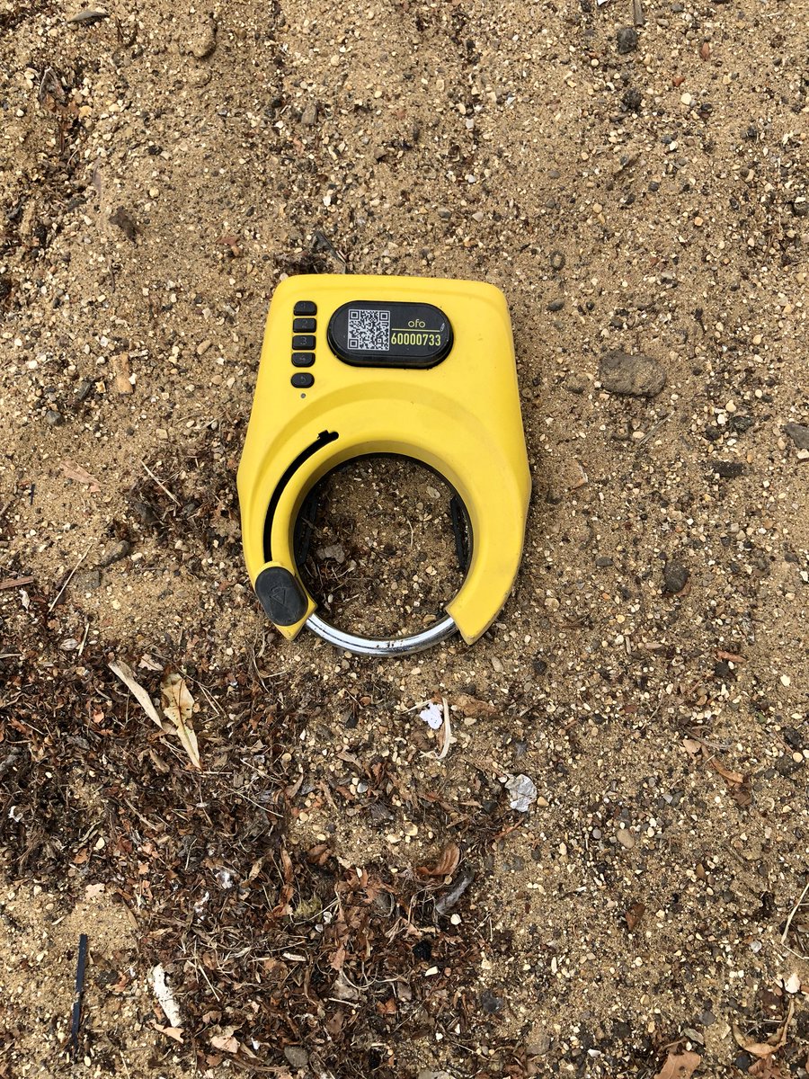 More trash littering the Cambridge streets.