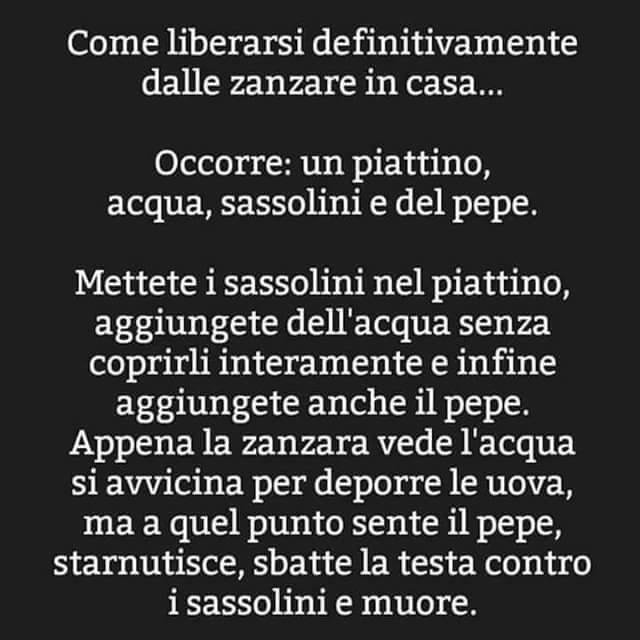 bradipo57's tweet photo. @eelliot60 @luigicacace1 @nonceLaura @shakiretta71 @massimo3651 @CarlaSicuro1 @AlessandraBrafa Buongiorno gruppo misto!! Spero che stasera mi diano il cellulare riparato xche' nn mi trovo col tablet! State tt bene? :-) https://t.co/QYURhlVU6V