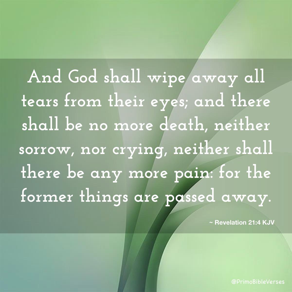 PrimoBibleVerse's tweet photo. Revelation 21:4 KJV #bible #bibleverses  #Revelation #AskJesusVerses  #BeingHappyVerses  https://t.co/ROpmDLEvUb https://t.co/NIlP9HIlGq