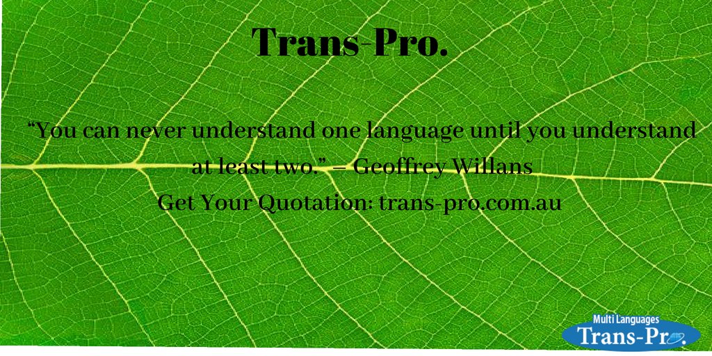 transProau's tweet photo. “You can #never understand one #language until you understand at least two.” – Geoffrey Willans
Get Your Quotation: https://t.co/2ryBW29vfR 
#TrumpKimSummit #translation #translator #Services https://t.co/AvSzUl4Lmt