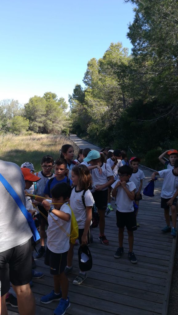 aiguespaterna's tweet photo. Enhorabuena a los alumn@s de 3º de @lasallepaterna y de 4º del @LiceoHispano, ganadores del Concurso de Dibujo '#Agua y #Naturaleza'. Hoy disfrutan de la visita al Racó de l’Olla, Parc Natural de l’Albufera https://t.co/2oEdwvwrra