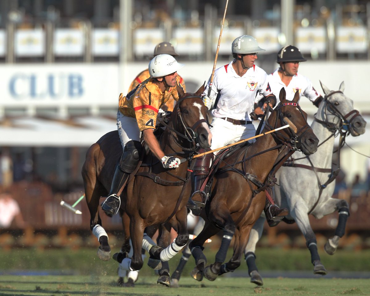 torneointerpolo's tweet photo. #torneointerpolo
August 2018 → 47 Torneo Internacional de Polo.
@ChukkerApp
https://t.co/K6vMWYeSpT   @SantaMariaPoloC
#sotogrande   #horse   #polo4thepeople
EnglisH:  @TorneoIntPol_EN  Photo: #snoopypolo @StMariaPoloC_EN https://t.co/fszGvRanXz