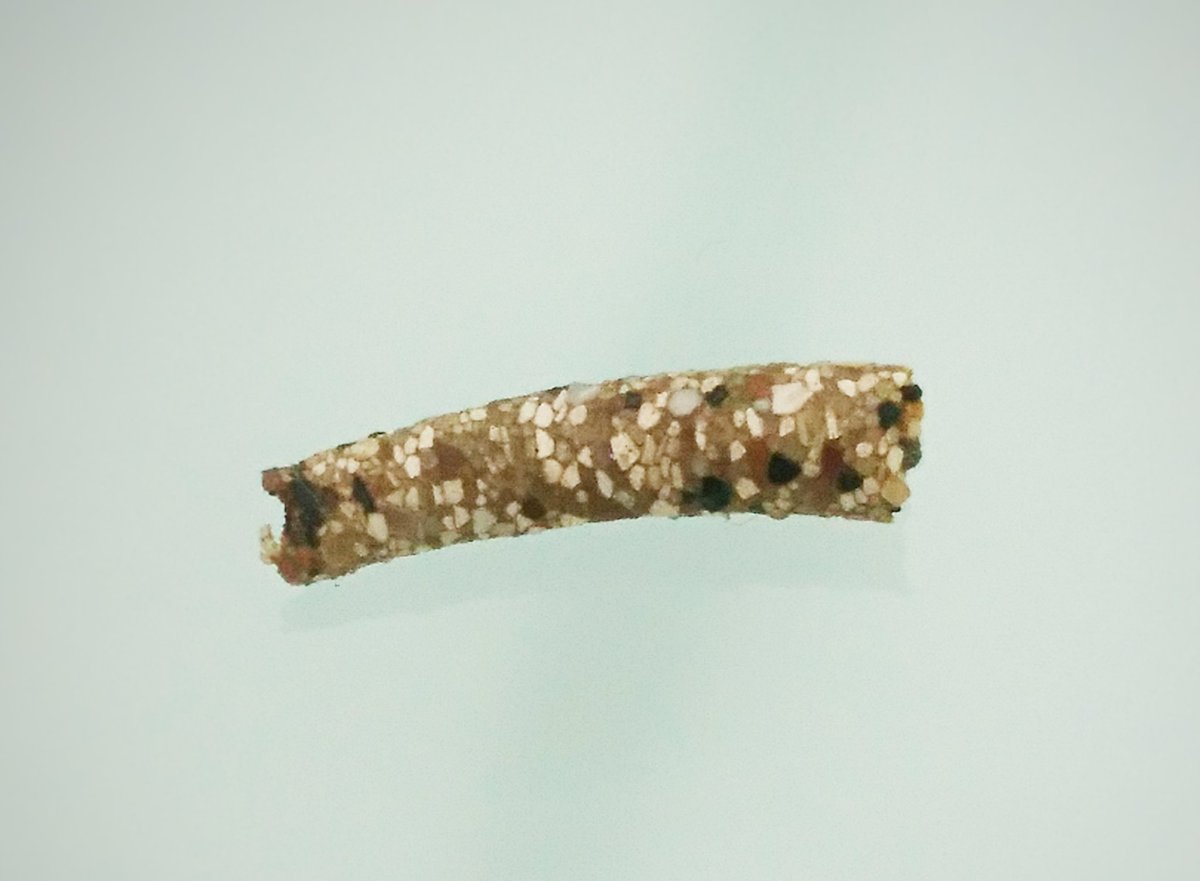 amygresham48's tweet photo. Day 12 #30DaysWild River sampling for aquatic invertebrates with @wildlifebcn and we found loads of cased caddis fly larvae! This is an empty case I have brought home to admire. The larvae stick the cases together by spinning silk 😮 @30DaysWild #ActsofWildness #staywild https://t.co/CXhVopYQQu