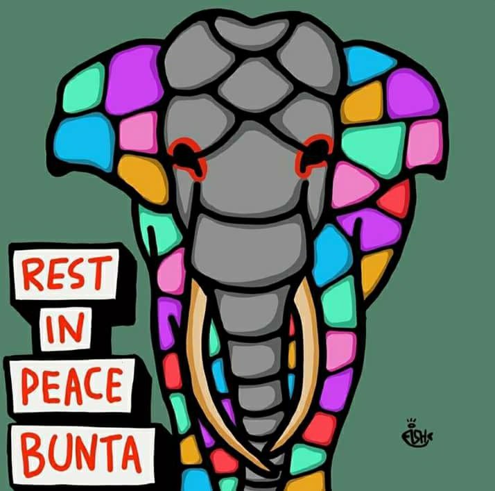yayasanleuser's tweet photo. Rest in Peace Bunta #bunta #gajah #gajahsumatera #elephasmaximussumatranus #sumatra #conservation #leuserecosystem #saveleuserecosystem #conservationresponunit https://t.co/ZaPym91d2K