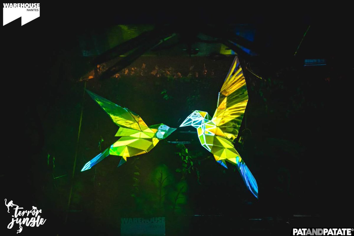 Bahuaud44's tweet photo. #TerrorJungle at @warehousenantes with guest : @SidneyCharlesM
Warm Up : #SamRhader
Closing : #PhilippeB
#LightShow : #GuillaumeSteck
Credit Pix : @Patandpatate
#Birds #Papercraft #Mapping @Resolume #Arena6 #smaga (birds template) #stagedesign #TechHouse #NightClub #BenQ https://t.co/HMy0CBHwsF