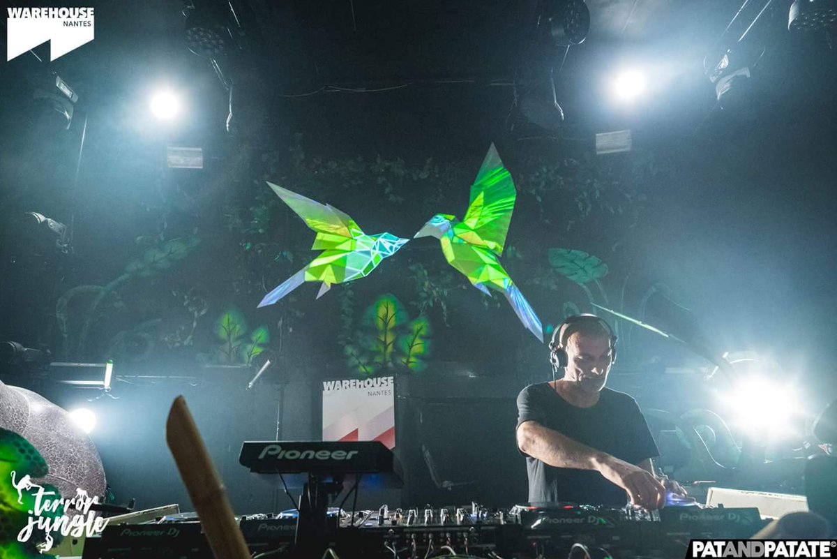Bahuaud44's tweet photo. #TerrorJungle at @warehousenantes with guest : @SidneyCharlesM
Warm Up : #SamRhader
Closing : #PhilippeB
#LightShow : #GuillaumeSteck
Credit Pix : @Patandpatate
#Birds #Papercraft #Mapping @Resolume #Arena6 #smaga (birds template) #stagedesign #TechHouse #NightClub #BenQ https://t.co/HMy0CBHwsF
