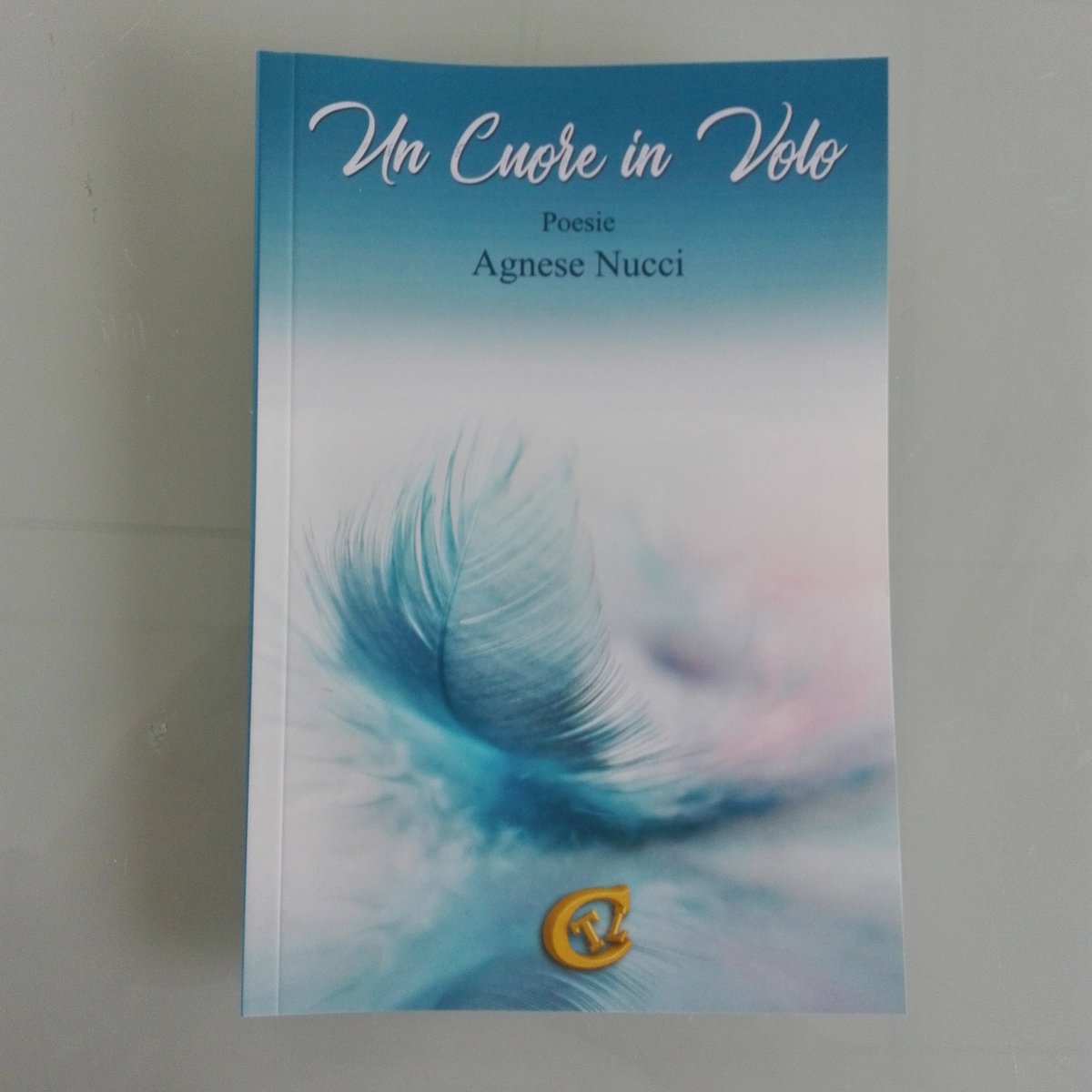 " Un cuore in volo" una pubblicazione della scrittrice Agnese Nucci edita dalla casa editrice CTL EDITORE LIVORNO