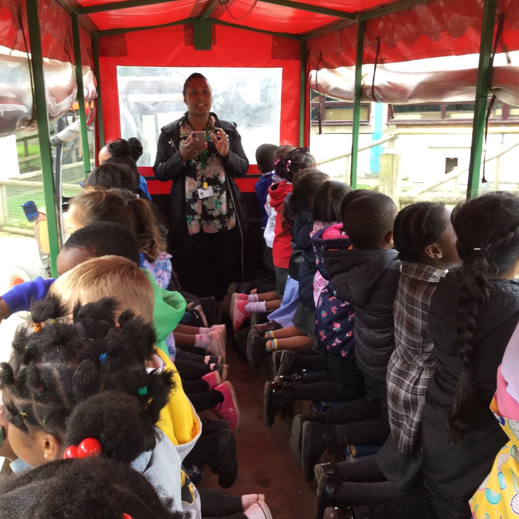 Chestnut tweet media