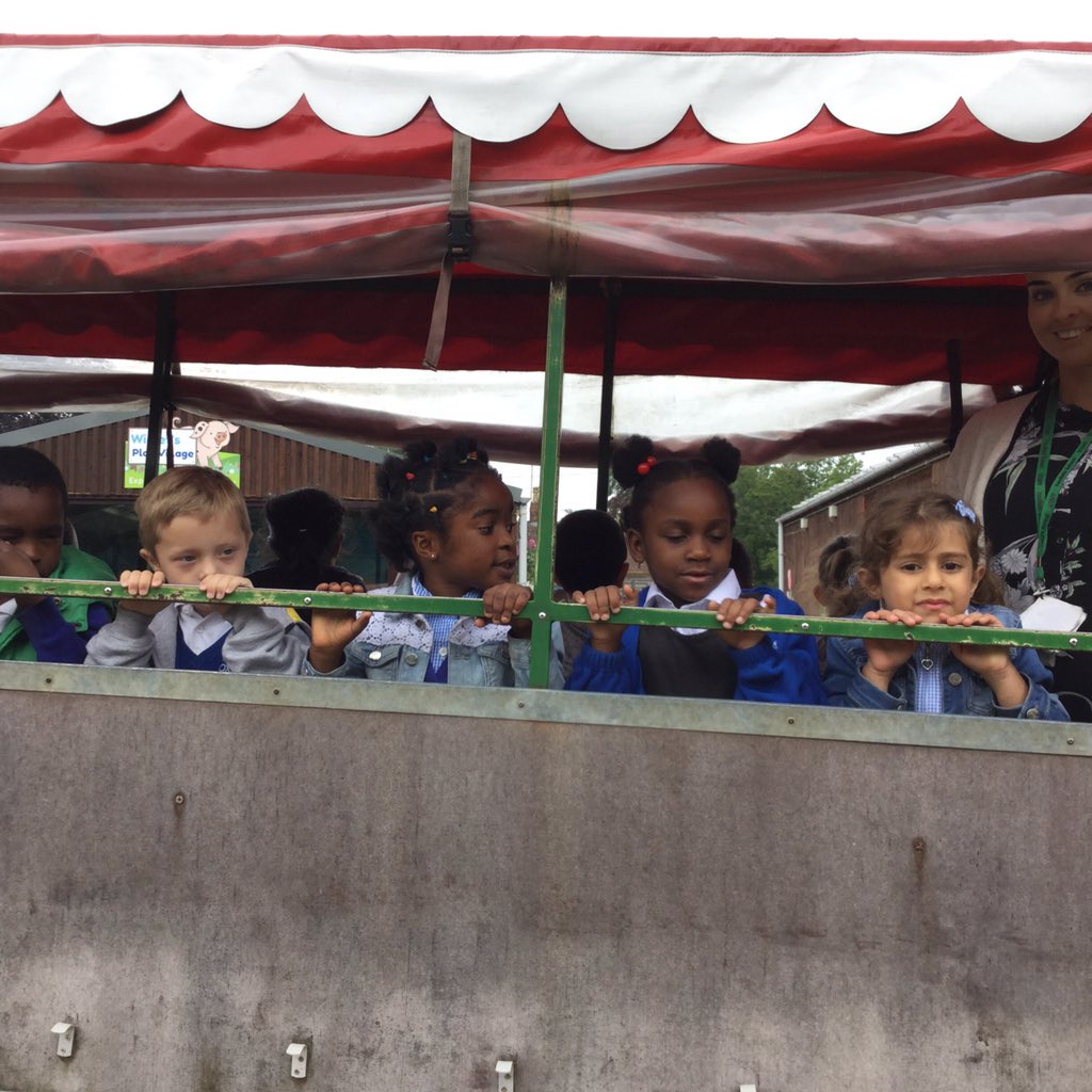 Chestnut tweet media