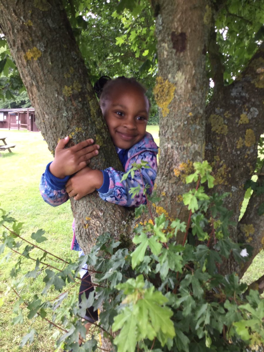 Chestnut tweet media