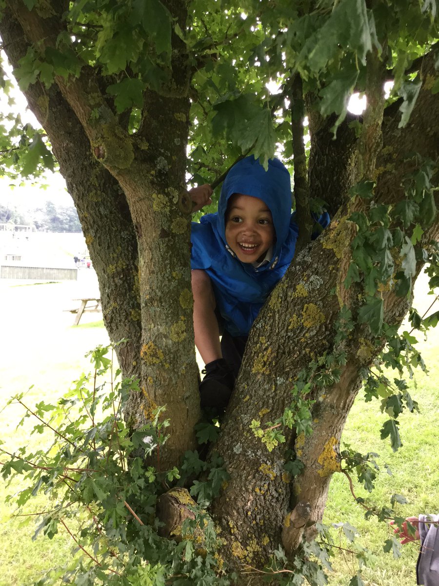 Chestnut tweet media