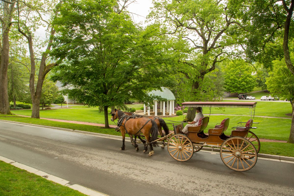The_Greenbrier's tweet photo. Enjoy the scenic views of America's Resort this Summer with a relaxing 
carriage ride. https://t.co/6F3d2slc8R https://t.co/RbAdFatCOG