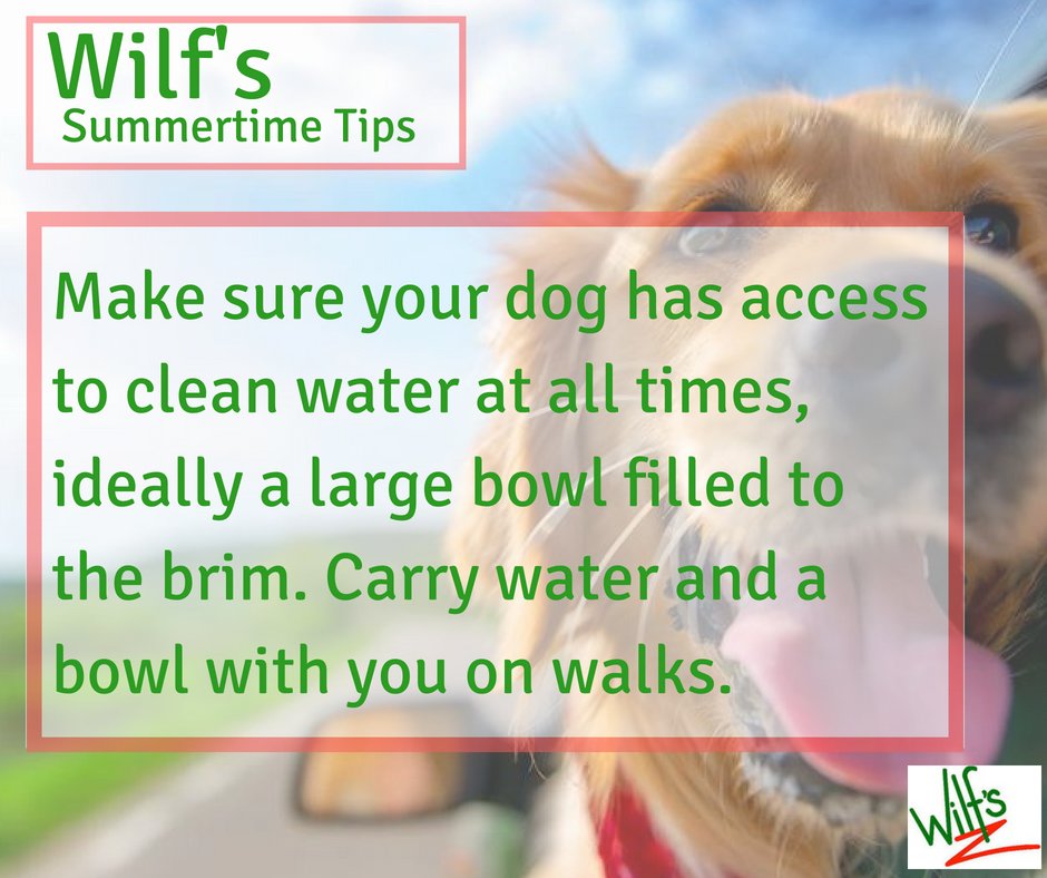 wilfscafe's tweet photo. We're going to be start a series of tips on how to keep your fury friends safe during the summer because we know you love your pooches as much as we love ours!
#BlueCrossForPets @BCBSAssociation @TheGoodDogGuide @PureLakes
#LakeDistrict #Staveley https://t.co/Ro8H8XrY2J