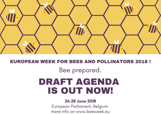 MichelDANTIN's tweet photo. #BeeWeek 🐝 L'agenda de la semaine européenne des #abeilles du 26 au 28 juin au @Europarl_FR est maintenant disponible !
L'agenda ici ➡️https://t.co/kqBoPQKXzz
Pour s'inscrire ➡️ https://t.co/RJhbXDExee
@PPE_FR @PPE @EPIntergroup_SD https://t.co/JU4rHjWDtR