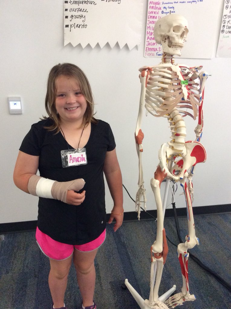 noyceinternsXU's tweet photo. Learning about the human body🧠👤👁 #3rdand4thgrade https://t.co/6xziyIIGtM