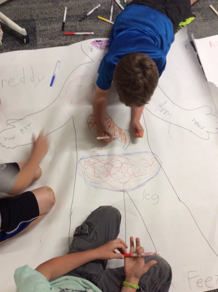 noyceinternsXU's tweet photo. Learning about the human body🧠👤👁 #3rdand4thgrade https://t.co/6xziyIIGtM