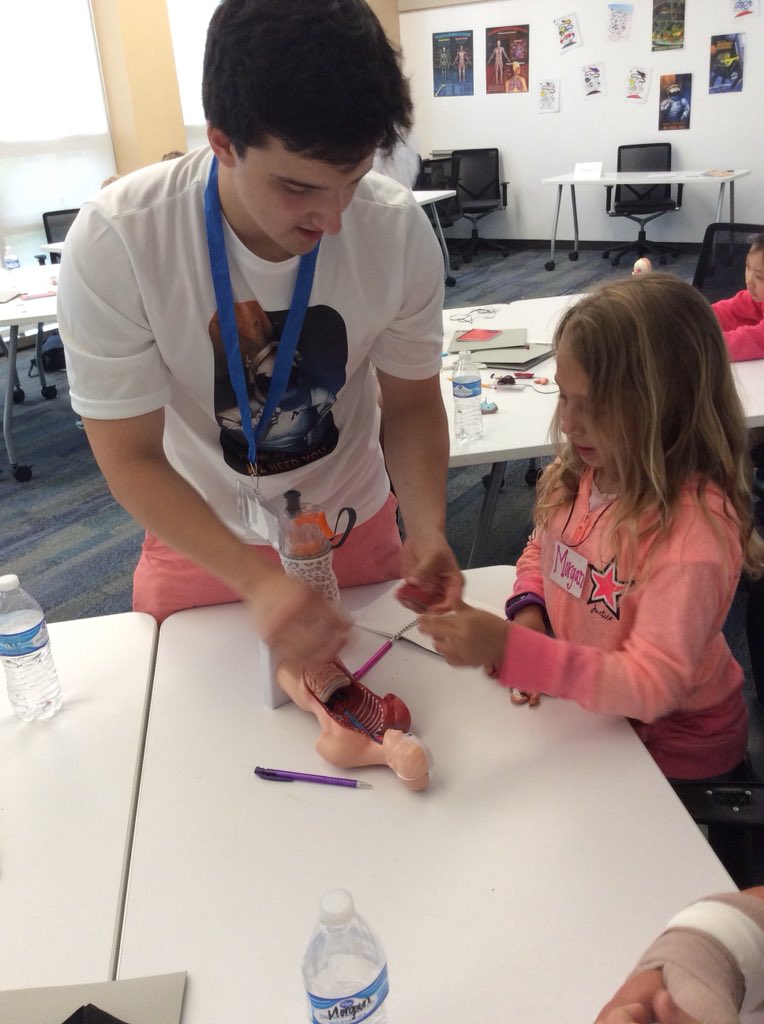 noyceinternsXU's tweet photo. Learning about the human body🧠👤👁 #3rdand4thgrade https://t.co/6xziyIIGtM