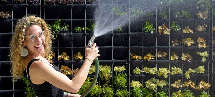 SUAlums's tweet photo. Amanda Goldberg ’08, founder/CEO of @PlantedDesign, took the prototypical office design and turned it on its head with her revolutionary, environmentally-friendly creations. Recently profiled on @hgtv, Goldberg is the subject of our latest alumni profile! https://t.co/D26j1D1Ih8 https://t.co/Vw9dm8jtyT