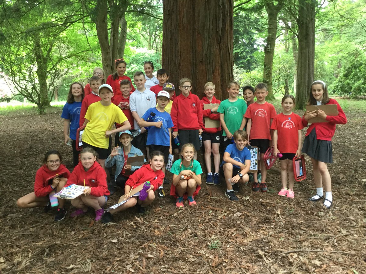 Year 5 and Year 6 pupils stepped outdoors again today and ventured as far as Cefn Onn Park.
