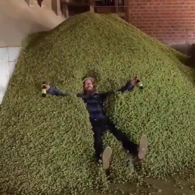 neobitechnology's tweet photo. #budcity #bud_city #budporn #picoftheday #hashporn #instagood #roadtrip #wedemboyz #represent #proshop #windbreaker #blazerscup #smoke #bong #gonja #stonerdays #highsociety #weedworld #potheadnation #potheadsociety #stonerways #cloud #stonernation #rayba… https://t.co/w3TbhO5IOe https://t.co/vrpiGKj9RD