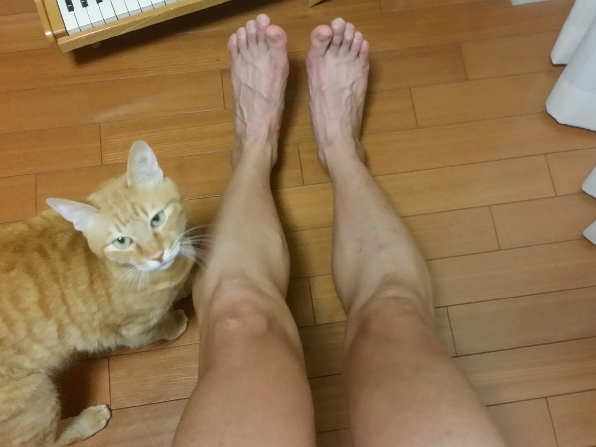 Twitter पर Peta 速いランナーは脚がツルツルである と気付いたので酔った勢いでスネとモモの毛を剃った 後悔はしてない その1秒を削り出すために