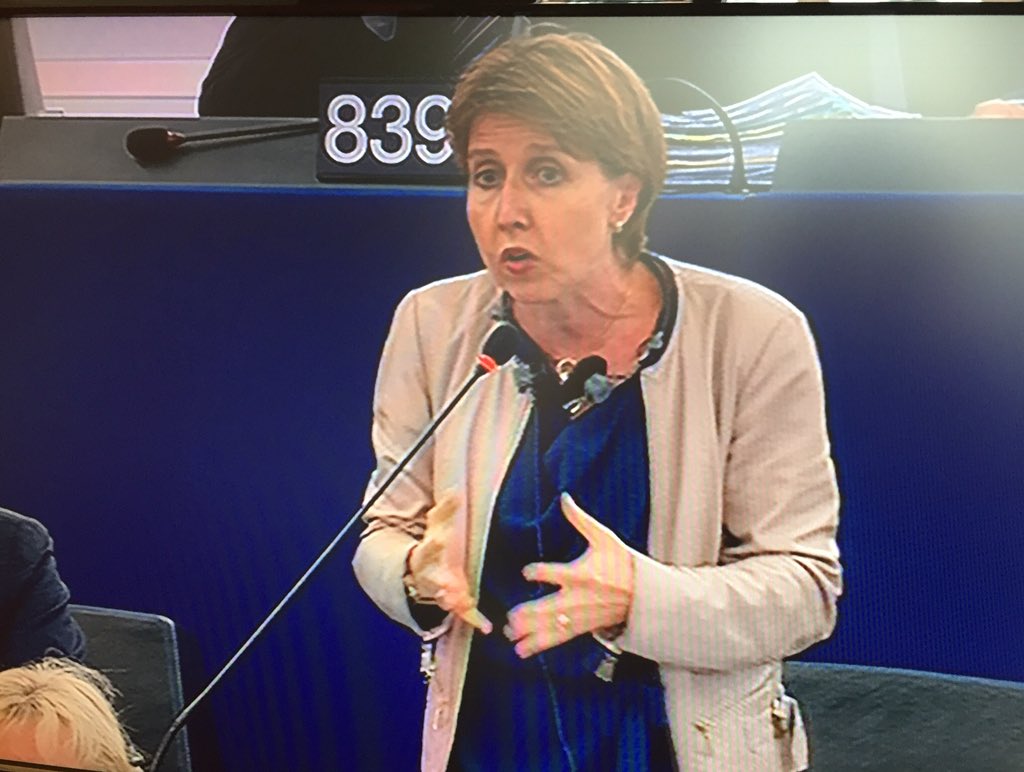 AnneSanderElue's tweet photo. J'intervenais ce matin dans l'hémicycle du @PEStrasbourg pour rappeler à mes collègues députés européens que le siège de notre institution est à #Strasbourg, malgré les problèmes de transport. #PlenPE https://t.co/RMUlGqwCH9
