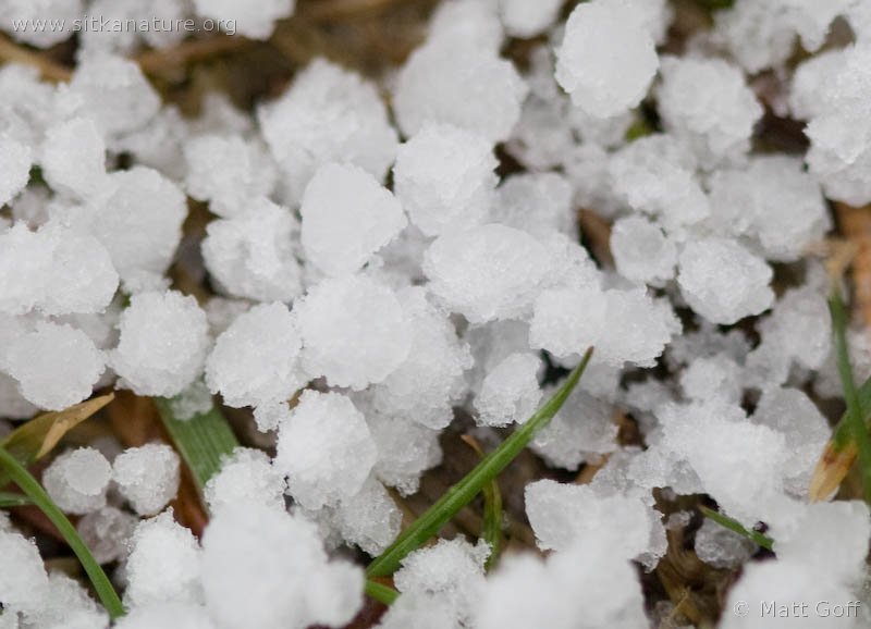 Ni granizo ni nieve. Fue graupel!!
emol.com/noticias/Nacio…