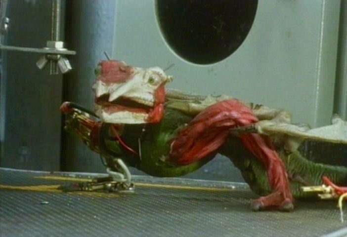 ebook umberto boccioni