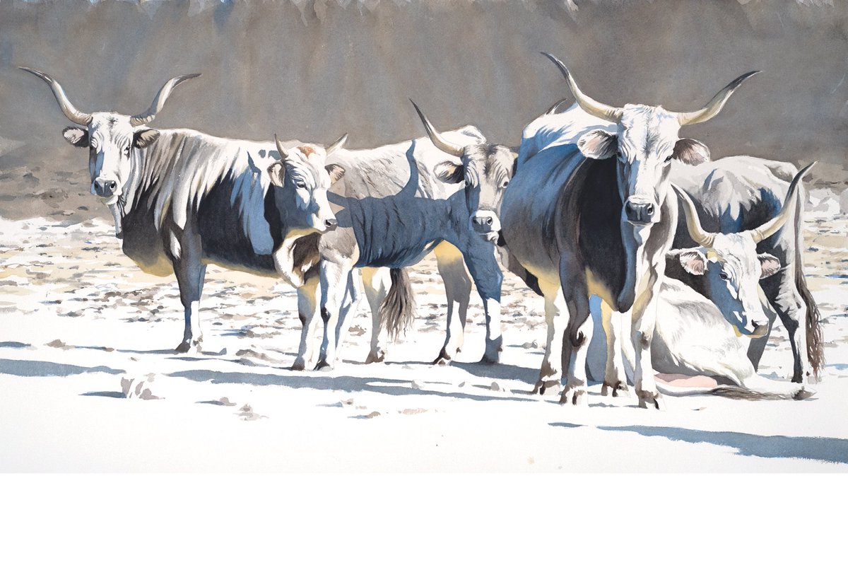 16 giugno 2018 ore 17 Inaugurazione della mostra "In Punta di Corna" Ex Frantoio di Alberese. Acquerelli di Federico Gemma. fino al 31 Agosto #alberese #maremma <a href="/Maremmans/">Maremmans</a> <a href="/maremmanews/">MaremmaNews</a> <a href="/MaremmaTurismo/">Maremma Promotion</a> <a href="/cittadeltufo/">Maremma Toscana</a> <a href="/MaremmaMagazine/">Maremma Magazine</a>