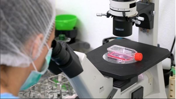 IMP_NY's tweet photo. Here's a still from "Stem Cells: The Next Frontier." https://t.co/FC50nJTlKb