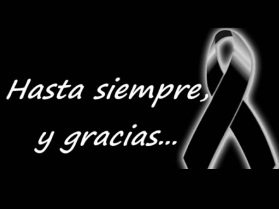 MAITOURS_es's tweet photo. De todos tus compañeros de Maitours, siempre en nuestro recuerdo y corazón. D.E.P. José Luis Ruiz https://t.co/HhgpmfZ7tS