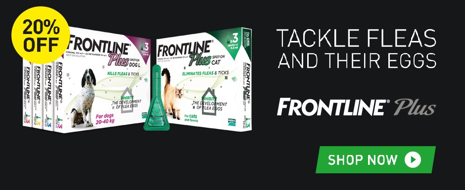 Petwell's tweet image. Research suggests that 1 in 3 dogs are affected by ticks. Reduce the risk of disease &amp;amp; save 20% with #FrontlinePlus petwell.co.uk/shop-by-brand/…