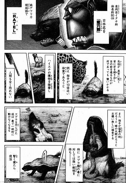 ふた Na Twitteru テラフォーマーズ復習おわった ラーテルかっこよいなー ふた Na Twitteru テラフォーマーズ復習おわった ラーテルかっこよいなー
