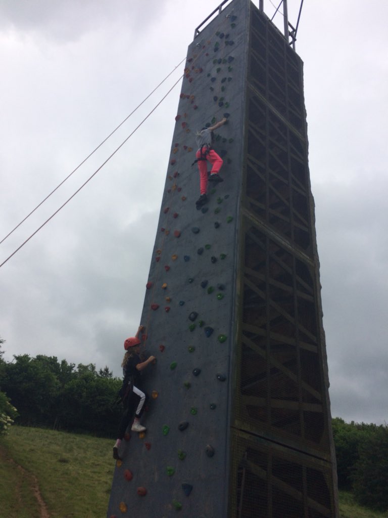 Bramptons Primary tweet media