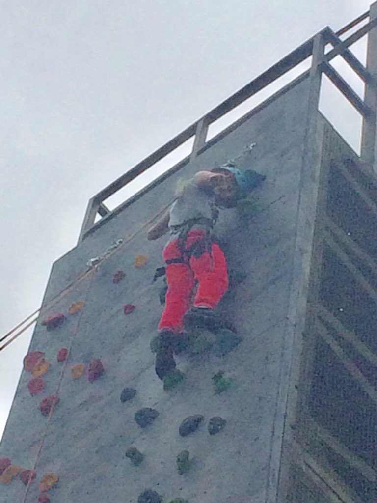 Bramptons Primary tweet media