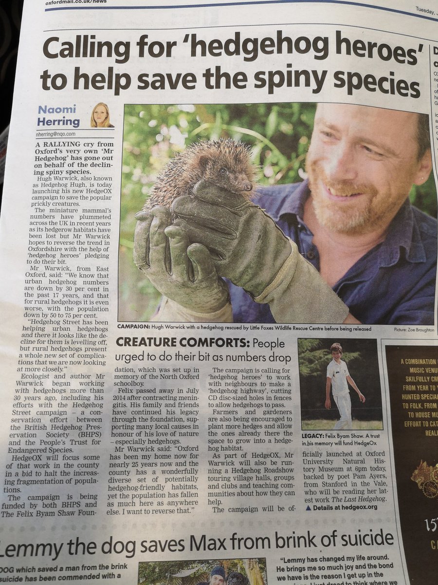 MrEFinch's tweet photo. Good to see @hedgehoghugh in @OxfordMailLive today boosting the #HedgeOx campaign to link up pockets of habitat in the county. Launching at @morethanadodo at 6:00 p.m. tonight with beloved poet Pam Ayres in attendance. https://t.co/AHnMY3IAcr
