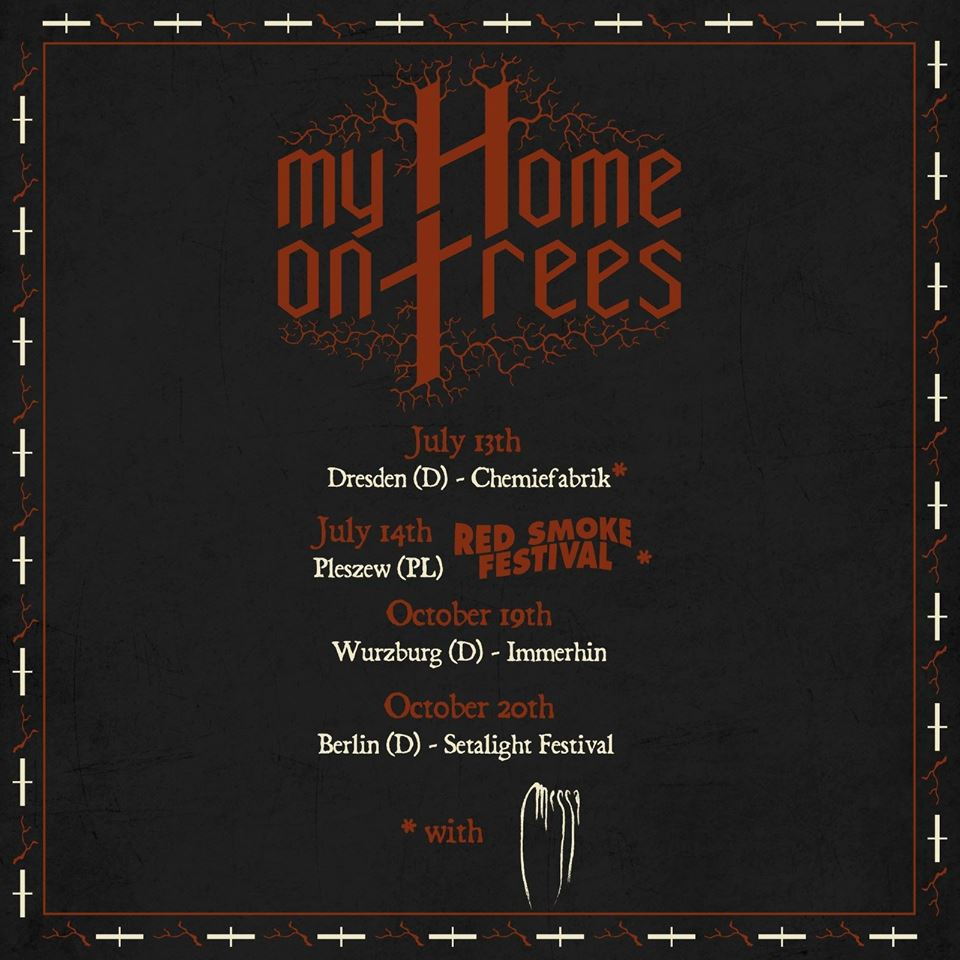 MyHomeOnTrees's tweet photo. Summer-Autumn 2018
https://t.co/4tilfloqeP https://t.co/jj6clJKEPH