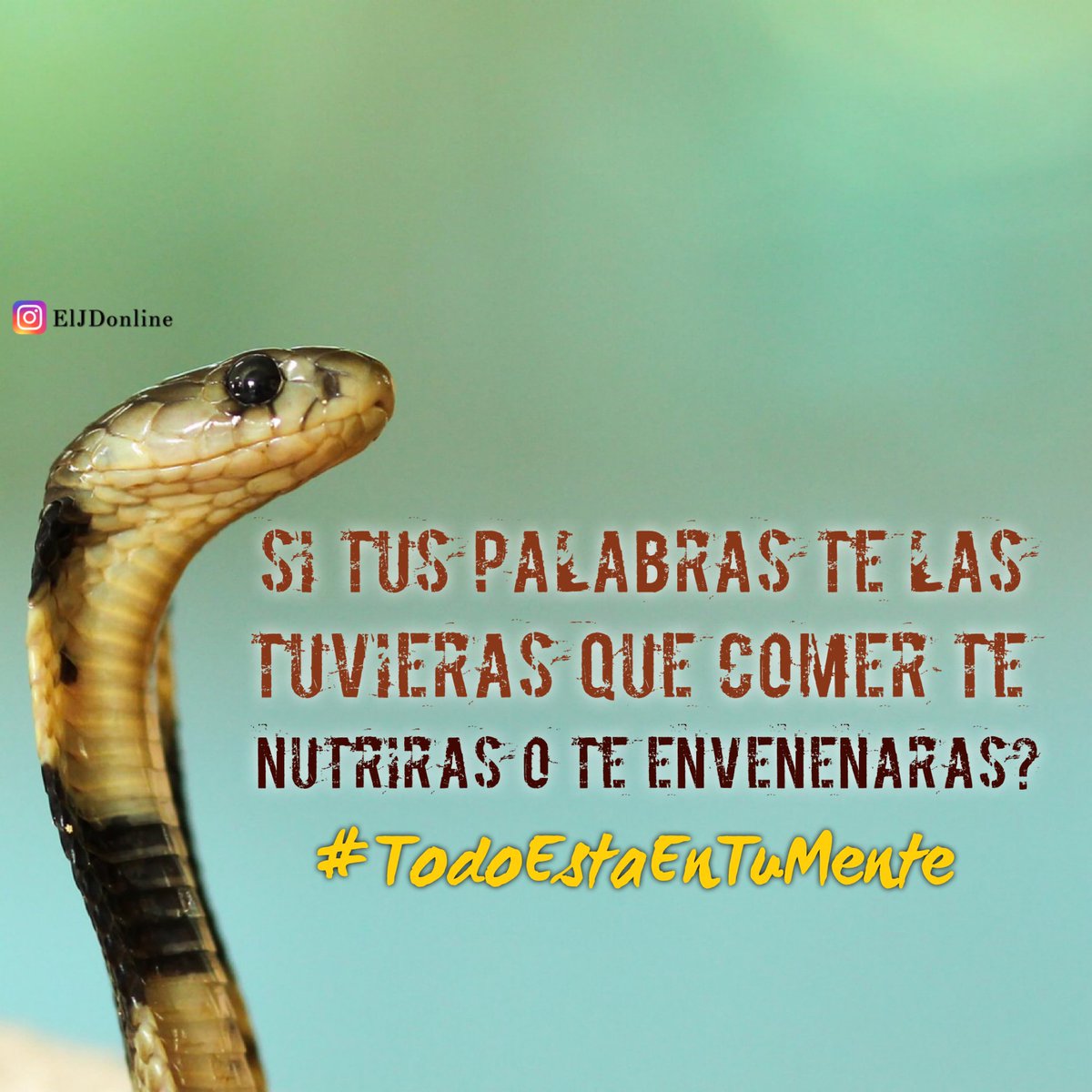 ELJD's tweet photo. Aprendo todos los días de lo bueno y lo malo que hago. Ayer, me dijeron estas palabras que me hicieron recapacitar un mundo. Debemos repetir esta frase todos los días “Quiero ser mejor ser humano”
•
#TodoEstáEnTuMente #PuertoRico #eljdonline #motivación #juntossomosmas. https://t.co/EWr6fRPevM