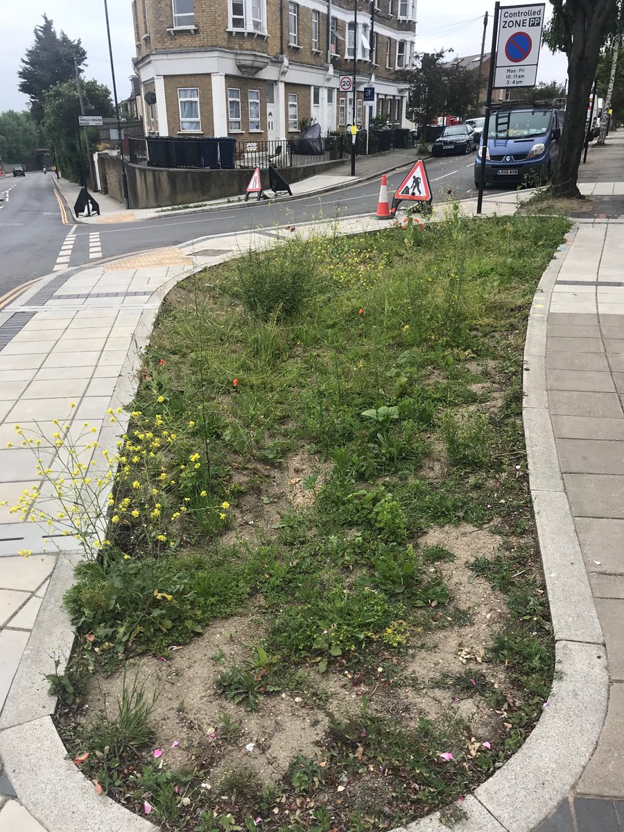 WellsHouseRoad's tweet photo. Over a year waiting for the beds to be planted in #WellshouseRoad by @EalingCouncil @EalingCustSer Another example of neglect of lower income communities #ealingneglect #filthyacton #brokenpromises https://t.co/2KcJHdRut6