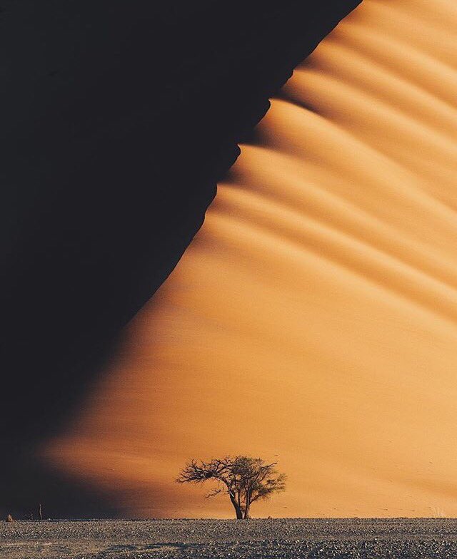 CreatorsStories's tweet photo. Desert vibes. Captured in #Namibia by @LeBackpacker #creatorsandstories #CreatorsProject https://t.co/ZCTjRYcXnn