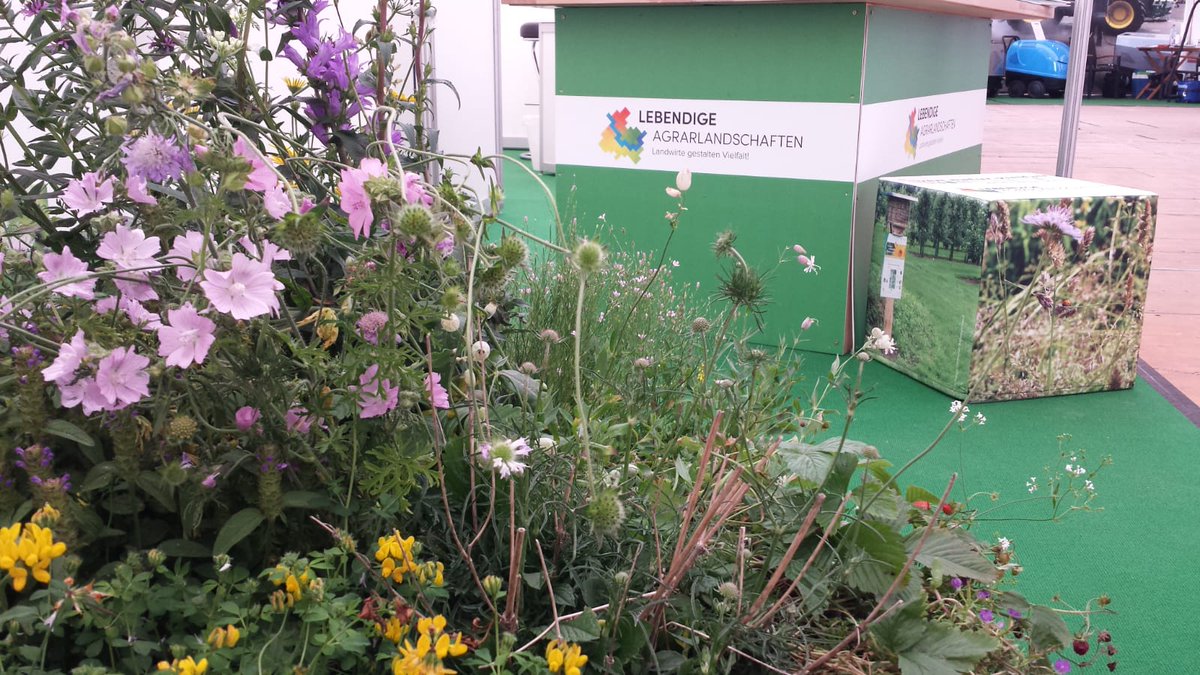 Bauern_Verband's tweet photo. Schnittstelle zwischen #Landwirtschaft &amp; #Naturschutz: #FRANZprojekt, Lebendige #Agrarlandschaften @feldtage. Kooperation gelingt durch #produktionsintegrierte  Maßnahmen. Im #Maßnahmenbuch beider Projekte zusammen gefasst: https://t.co/C79Lj0MLCM https://t.co/NSts6Fn8cO